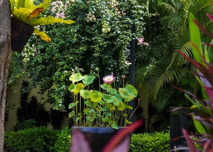 Sala Hotel Siem Reap